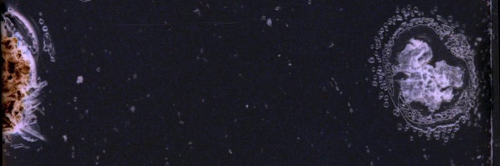 _RobertSSmith's profile banner image