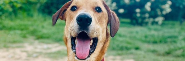 FHDRofSETX Profile Banner