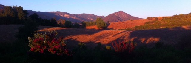 ojaisharon's profile banner image