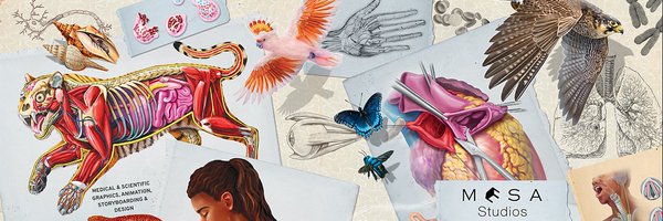 mesabree Profile Banner