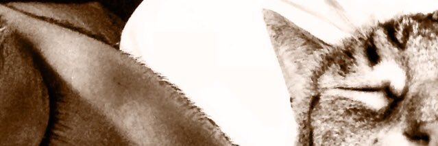 theballsyone's profile banner image