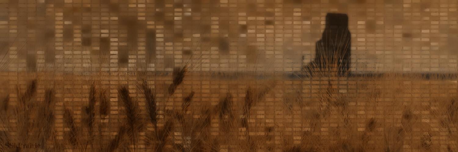 SSkPrairie's profile banner image