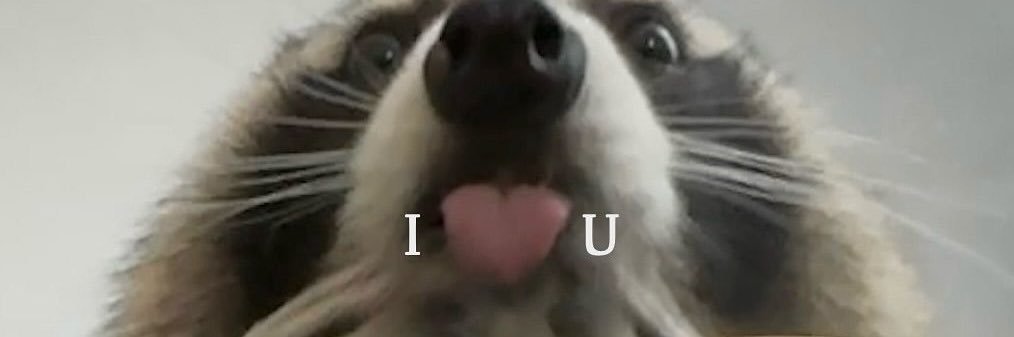 Dixie Normus ❤️🇺🇸 banner