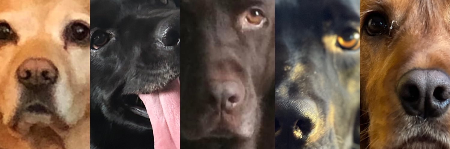 dancerdudejay's profile banner image