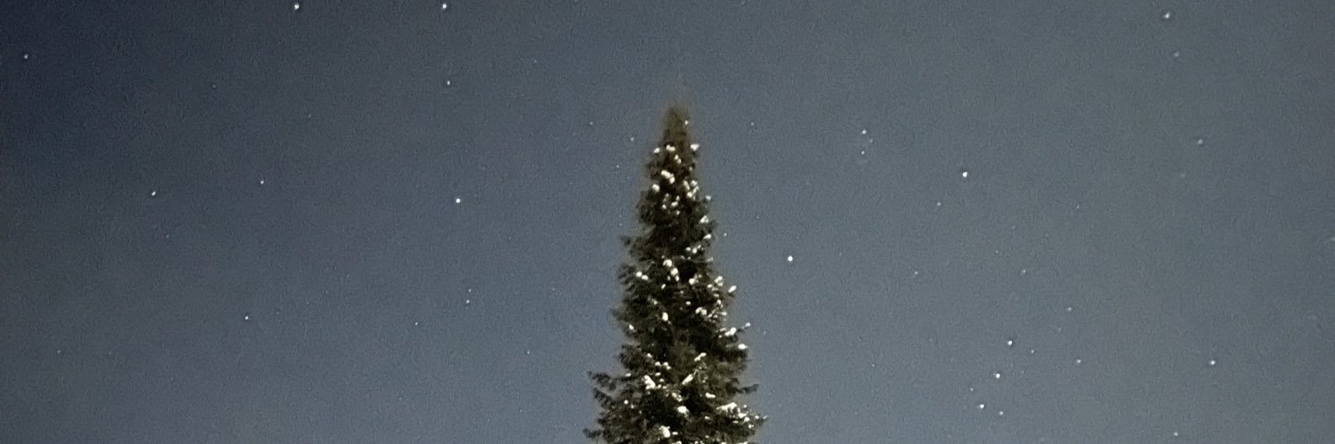 Chtyllhu's profile banner image