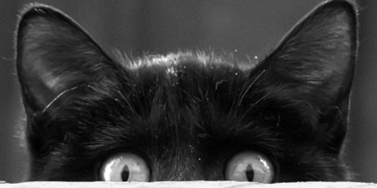 IgorBorich's profile banner image
