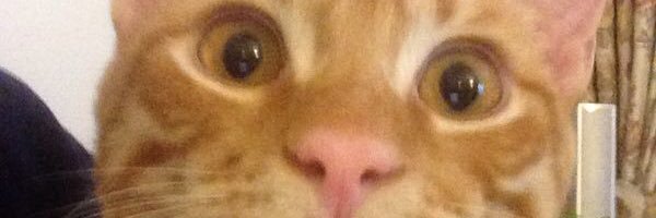 LuBuBa's profile banner image