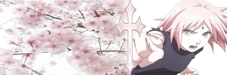 douceurtulipe's profile banner image