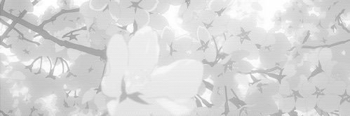 ppyulong's profile banner image
