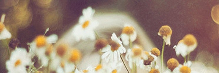 kyarumen_277's profile banner image