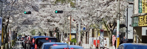 ayase_lab Profile Banner