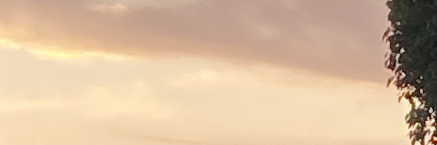 endosaya_DX's profile banner image