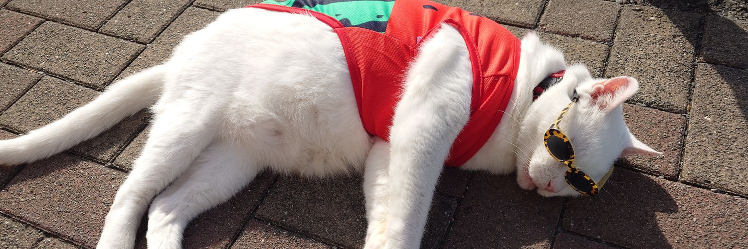 manekineko64's profile banner image