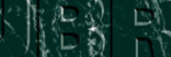 JofBusResearch Profile Banner