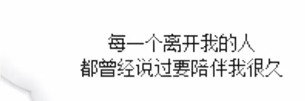 茶七 banner