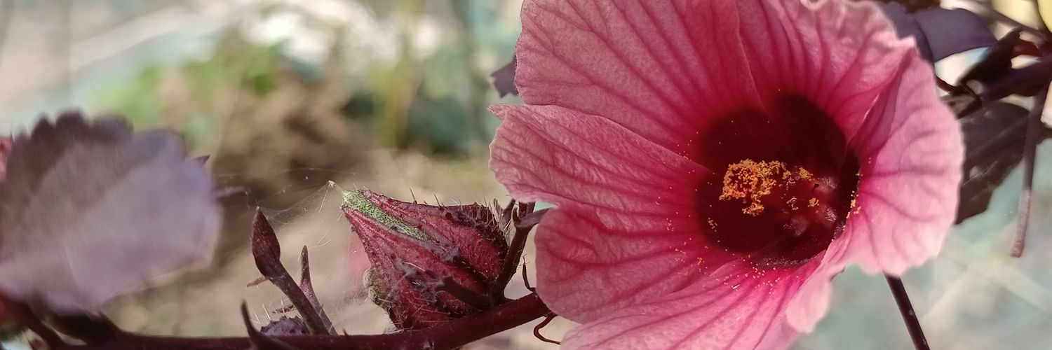 WSI197's profile banner image