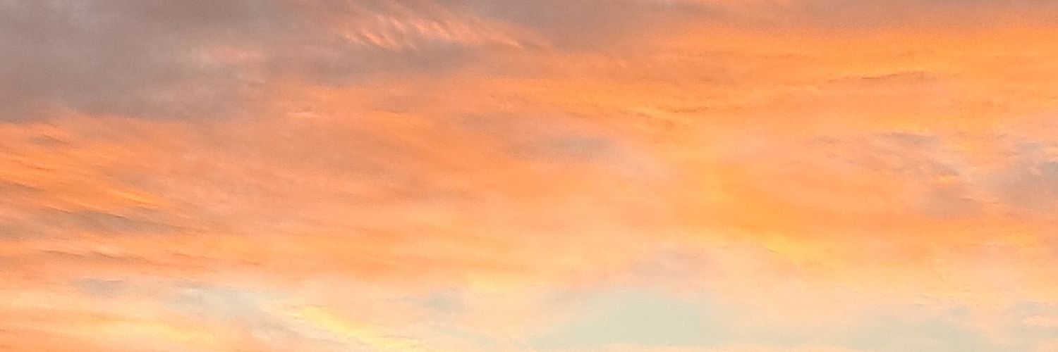 ainvey_hi's profile banner image