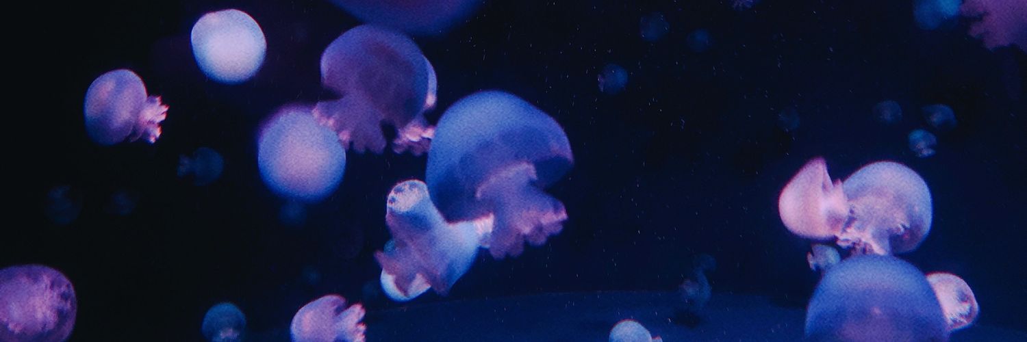kkwkm520's profile banner image