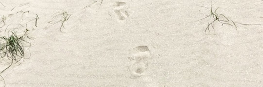 MKTOO_17's profile banner image