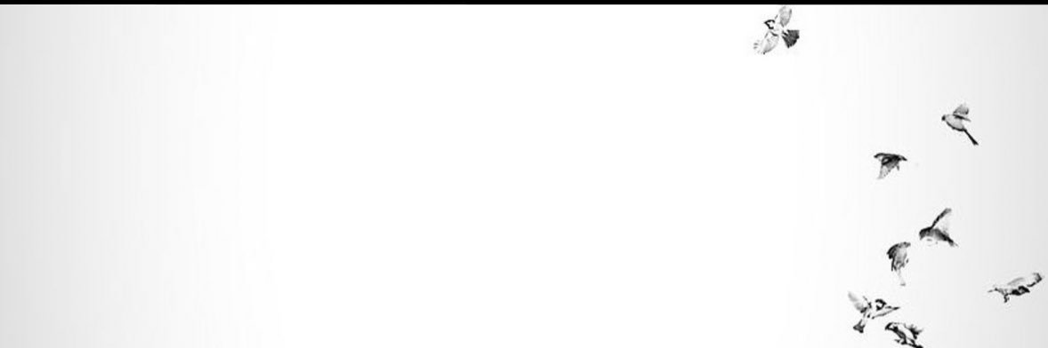 nnalothman7's profile banner image