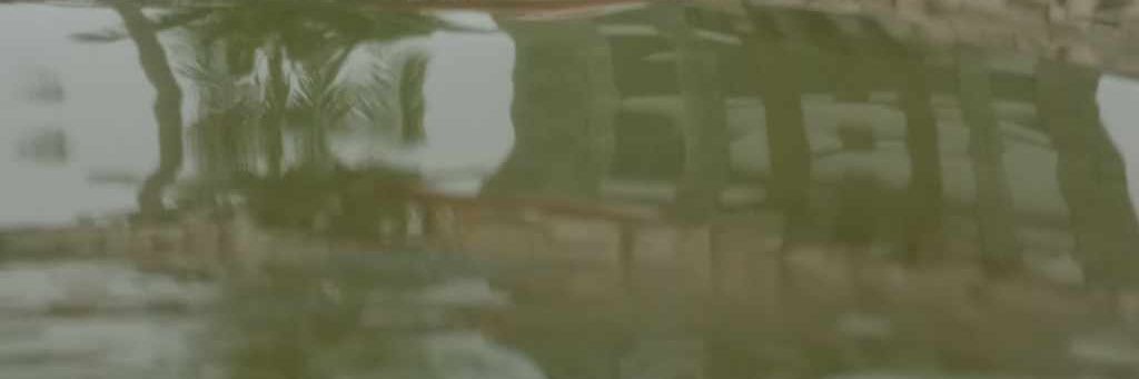 TrangiuseH's profile banner image