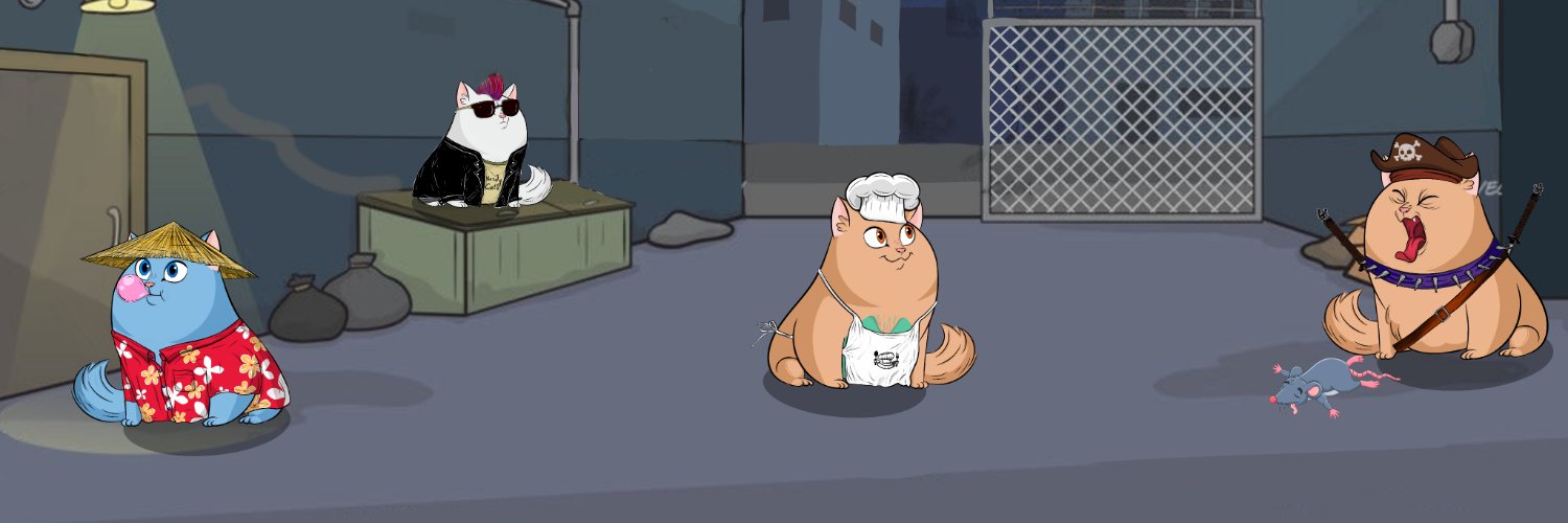 nerdycatsNFT's profile banner image