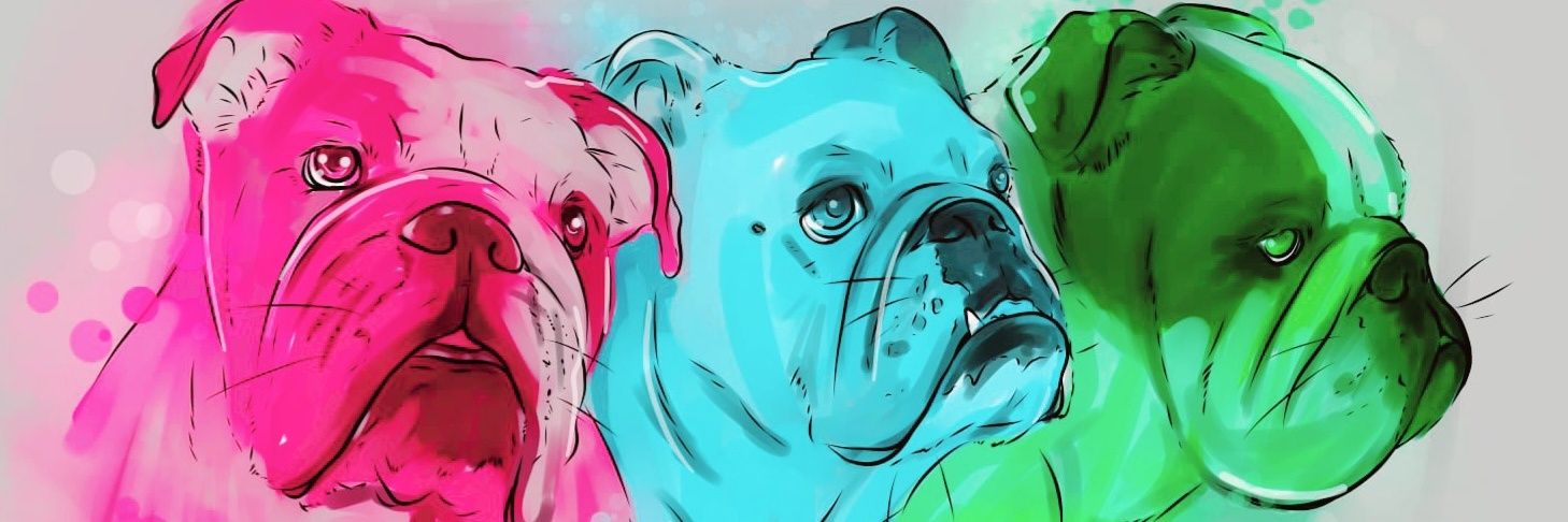 PetAndPencil banner