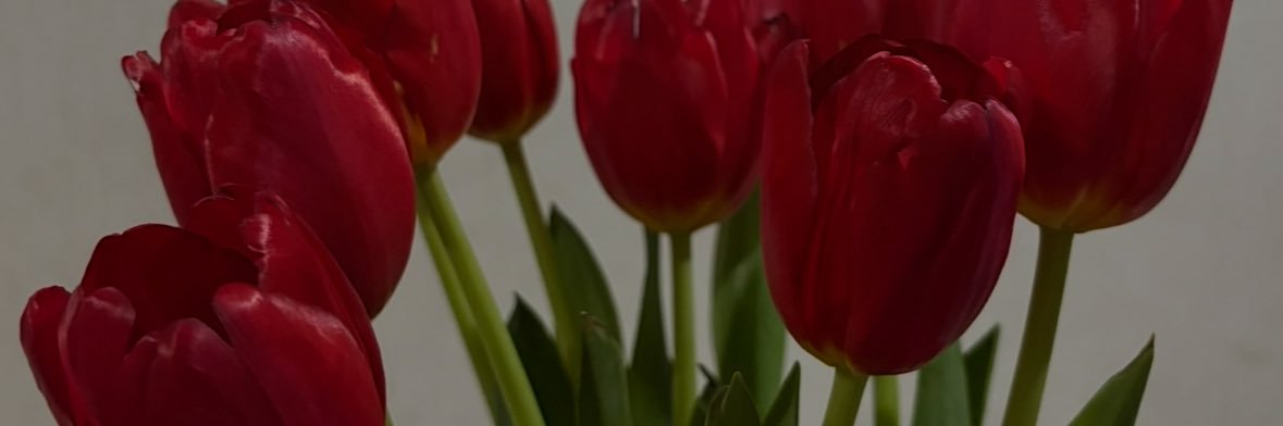 taniaaa_22's profile banner image