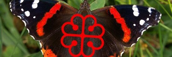 LÇ🅰️Ç🅰️PÖ banner