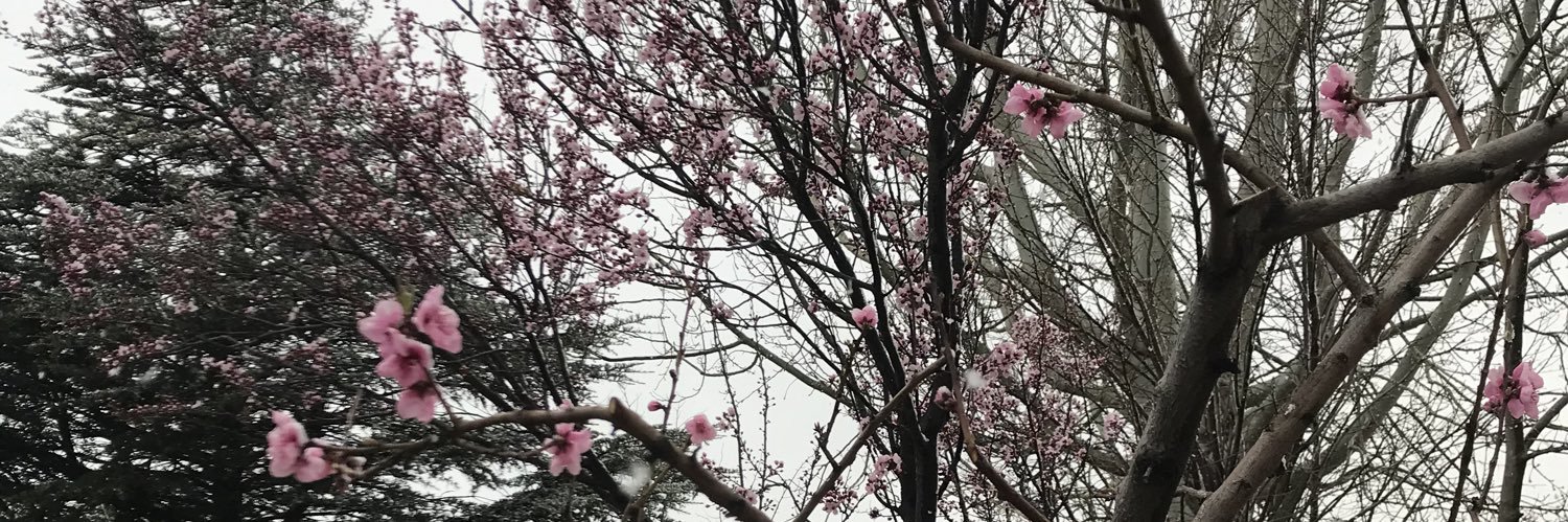 ba11753046's profile banner image