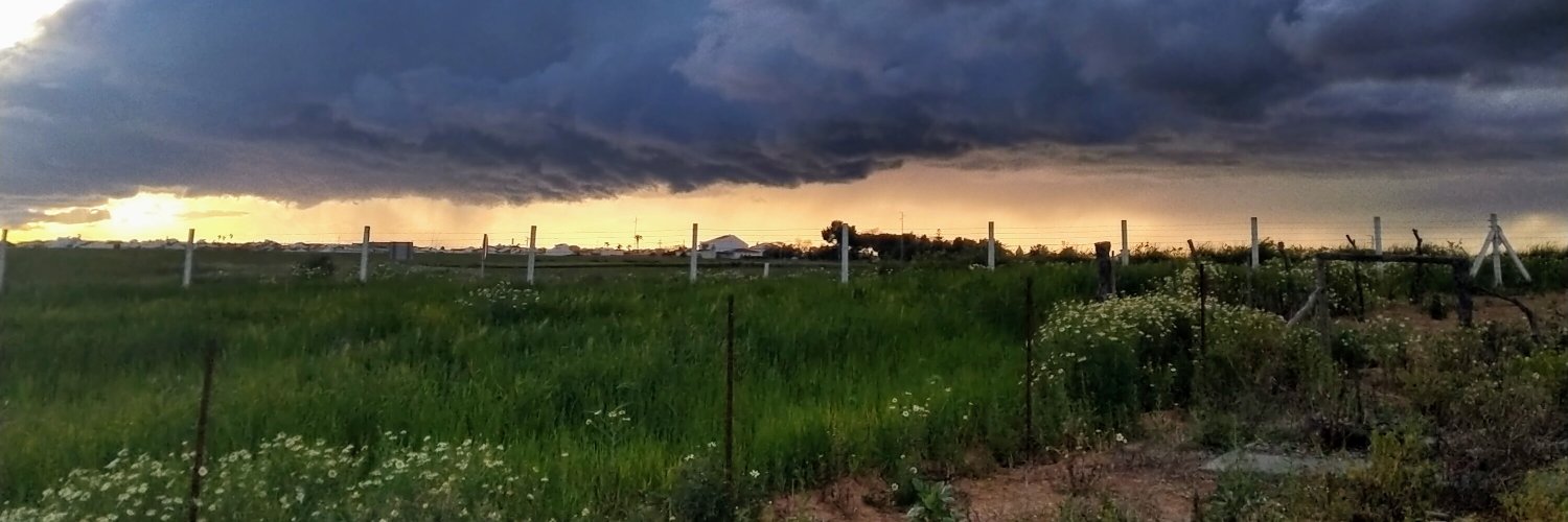 OMICOSER's profile banner image
