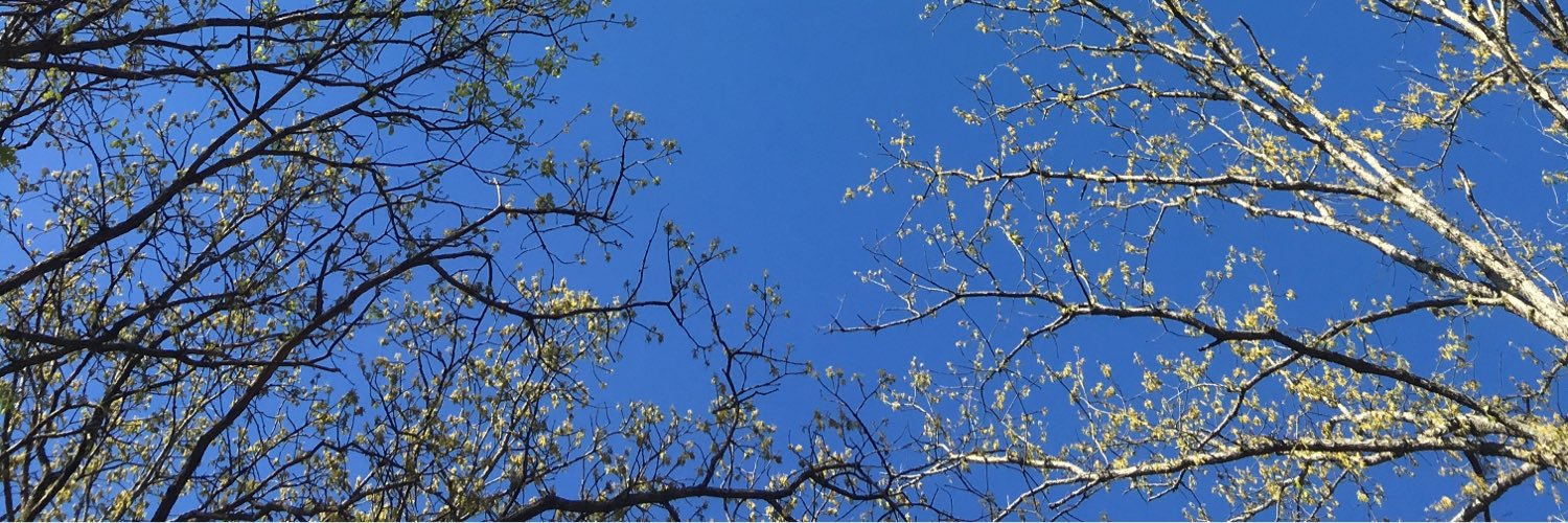baxtertown's profile banner image