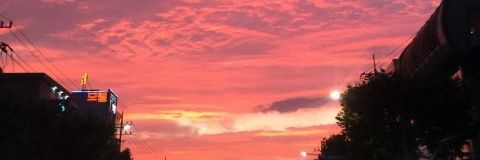 tashalevante's profile banner image