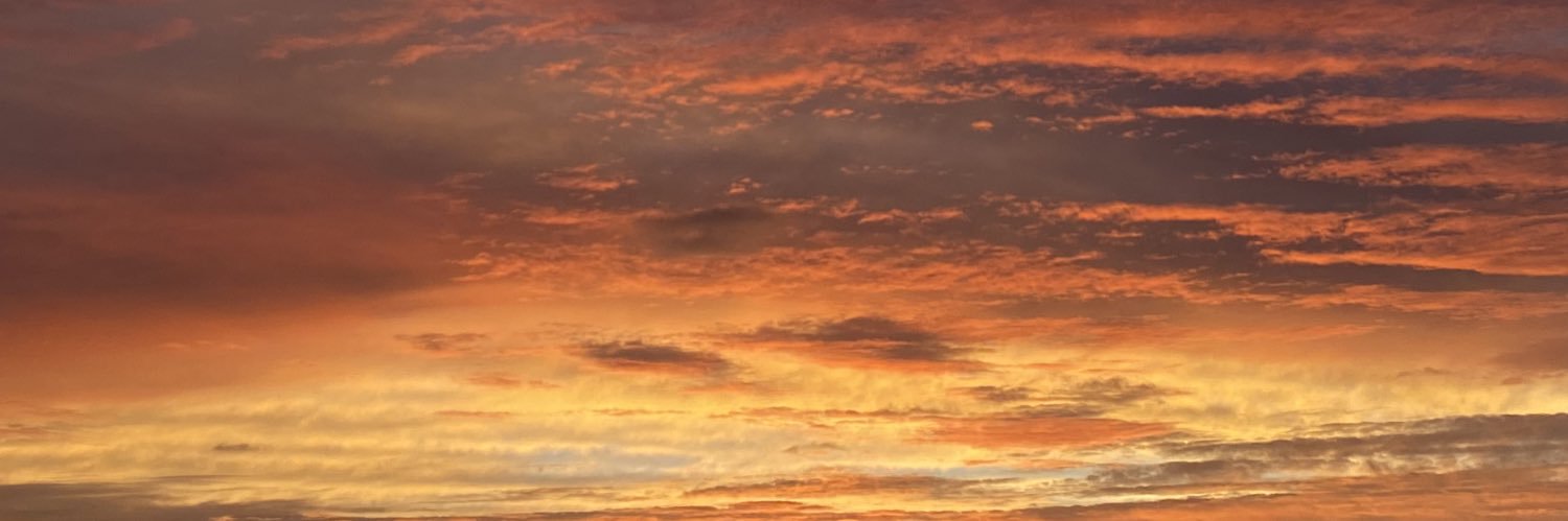 🦂 banner