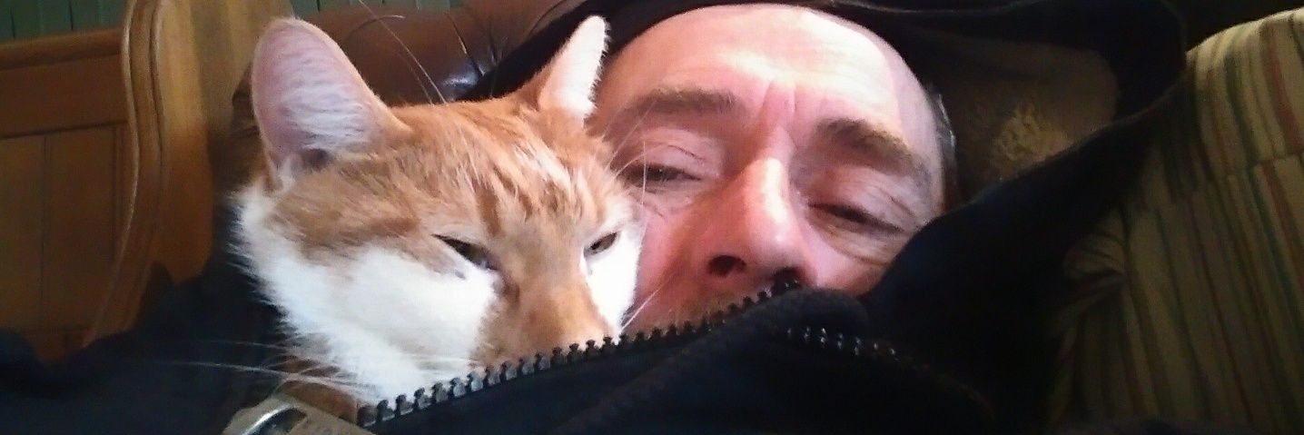 ⊙¿⊙ ɯɹoʍoƃuoq 🏴‍☠️💤 banner