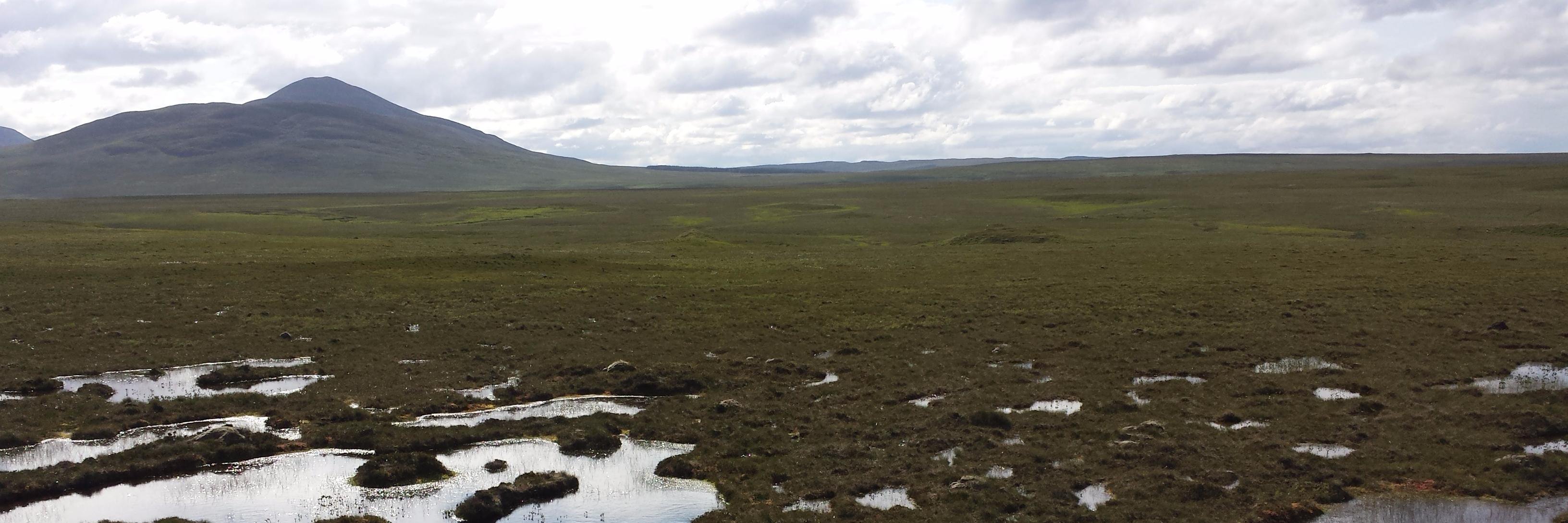Dr Renée (Kerkvliet-)Hermans banner