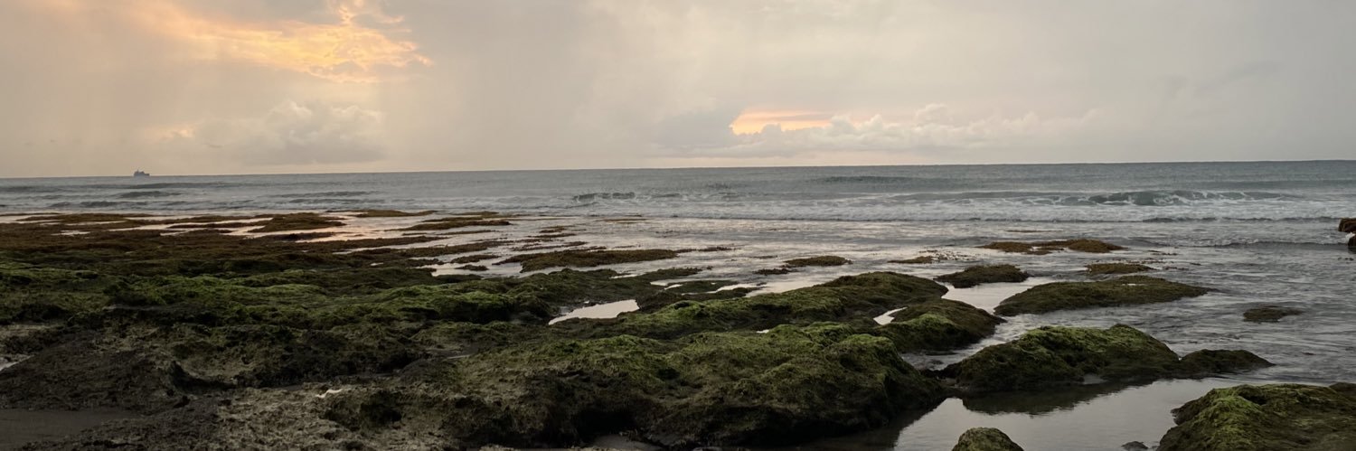 peachminge's profile banner image