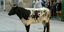 javierandreu10's profile banner image