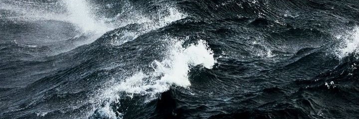 thewinecoloredsea banner