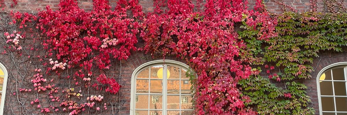 daraeasyplanner's profile banner image