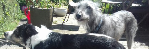 mcgtek Profile Banner