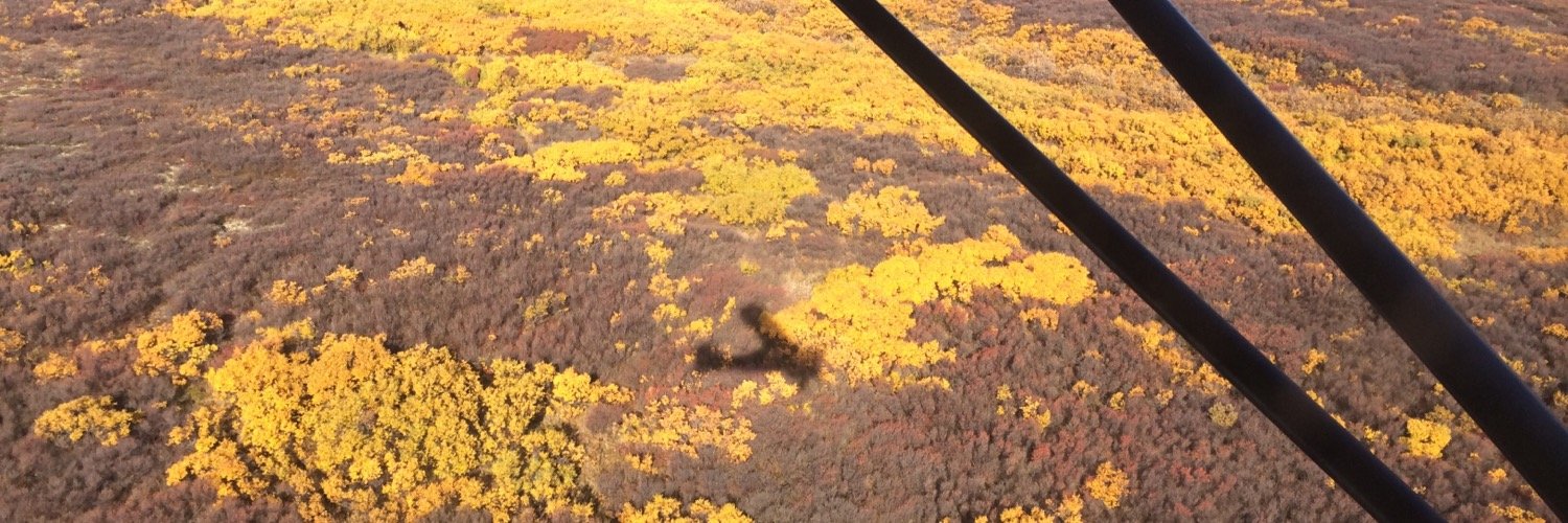 löki gale (she/her) banner