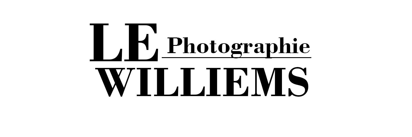 le_williems's profile banner image