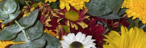 Fanny banner