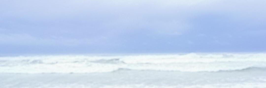 unnisa_lu's profile banner image