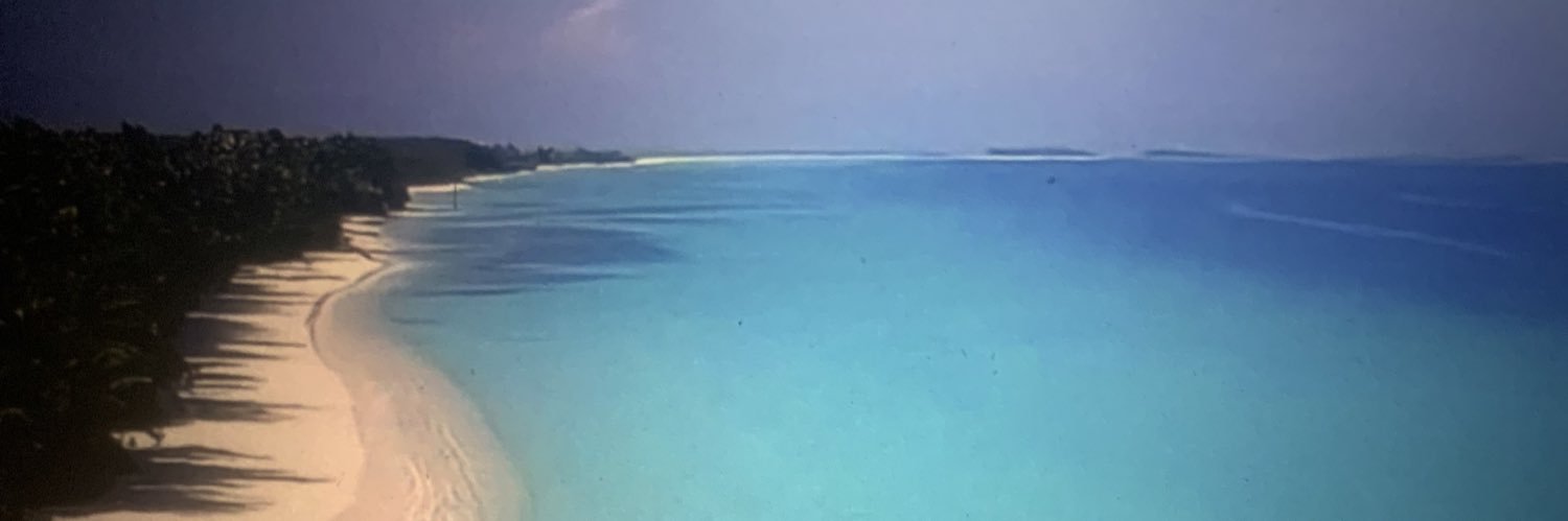 Open4alt 🟩 ☫ 🟥 🇵🇸 banner