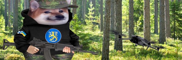 LionDefenceTeam Profile Banner