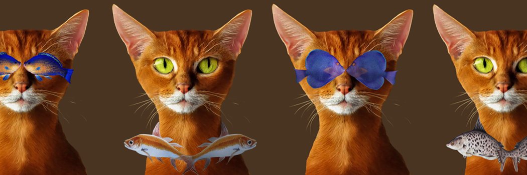 Catfishydream's profile banner image