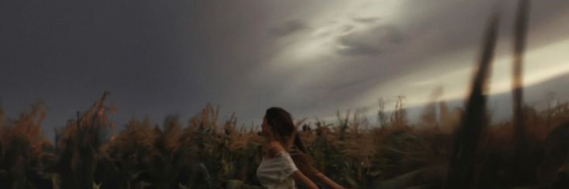 marryschubert's profile banner image