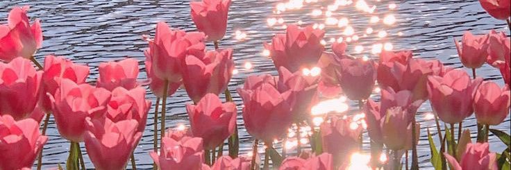 minnimm_'s profile banner image